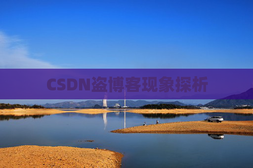 CSDN盗博客现象探析